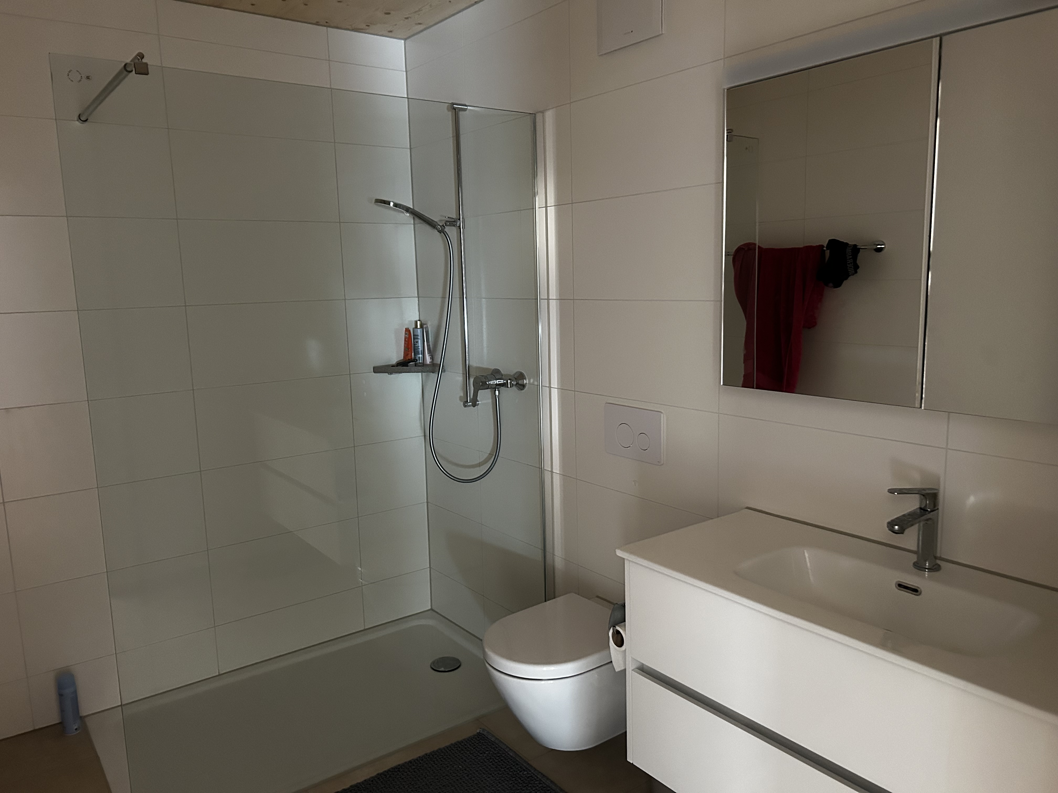 Schönes Zimmer in neuer 4.5 Zimmer Dachwohnung 8